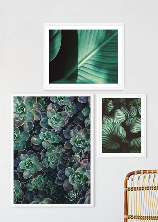 BIG GREEN LEAVES, GREEN LEAVES CLOSEUP & SUCCULENTS POSTERS