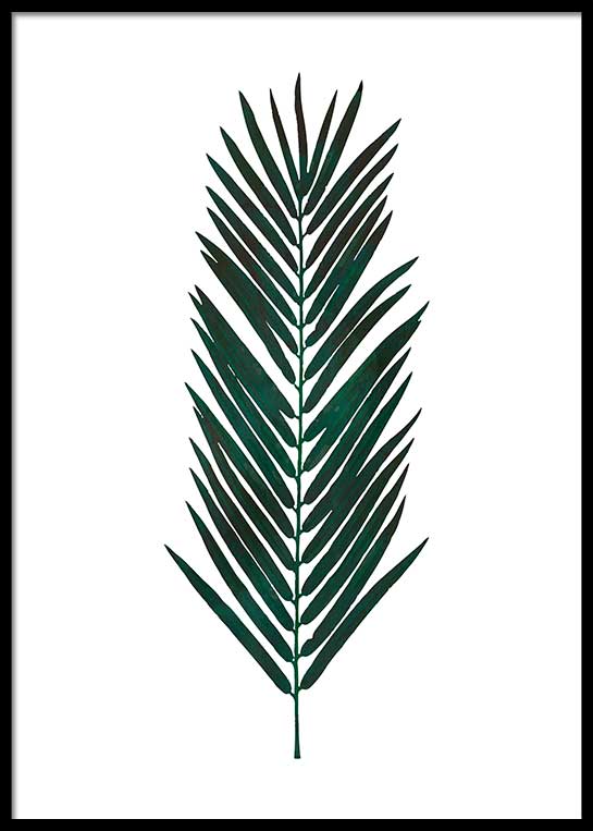 PALM LEAF WATER COLOR POSTER