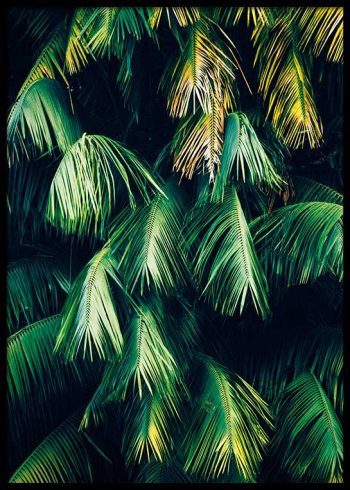 HANGING PALM LEAVES POSTER
