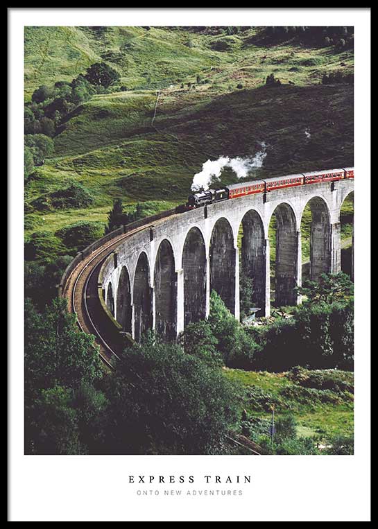 EXPRESS TRAIN POSTER