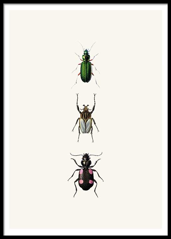 VINTAGE BUGS NO. 1 POSTER