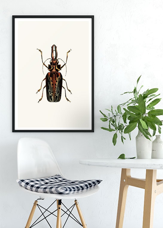 VINTAGE BUGS NO. 3 POSTER