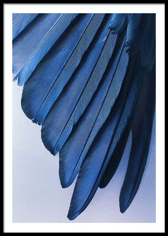 BLUE FEATHERS POSTER