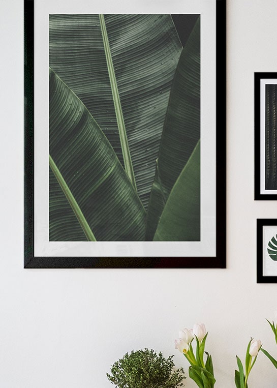 PALM LEAVES LAYERS POSTER